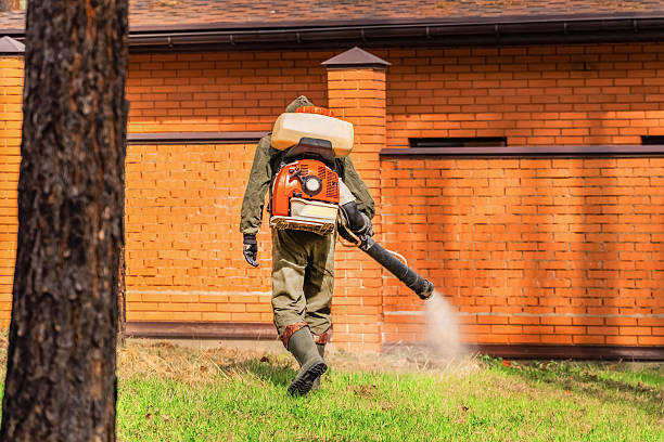Trusted Mosquito Control service in Kings Mountain, NC - Nex Pest Control